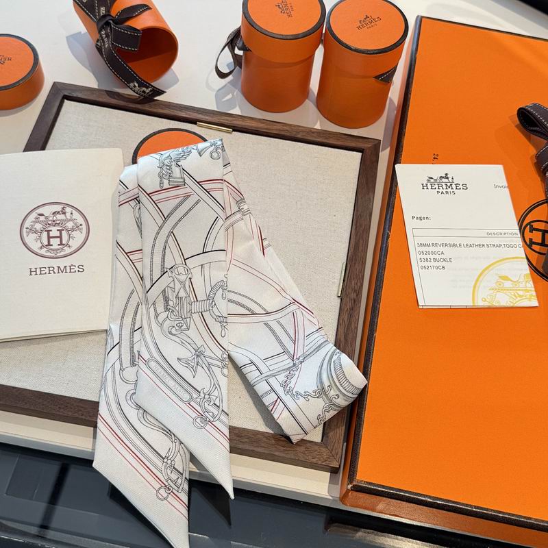 Hermes silk ribbon hm (51)