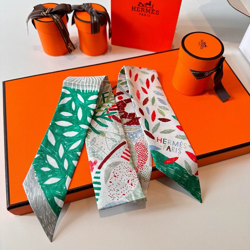 Hermes silk ribbon hm (53)