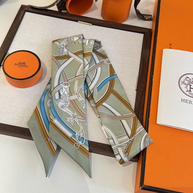 Hermes silk ribbon hm (57)