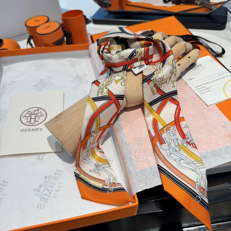 Hermes silk ribbon hm (63)