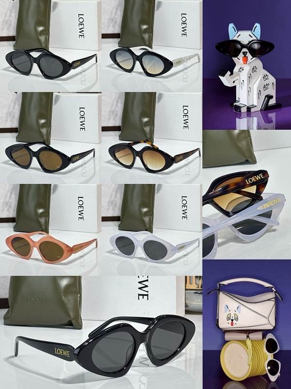 Loewe Glasses sms (223)
