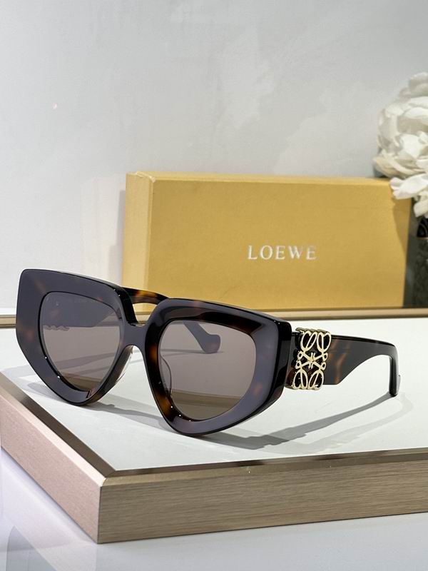 Loewe Glasses sms (393)