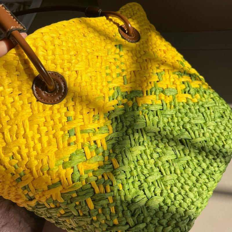 Loewe beach bag dx (210)