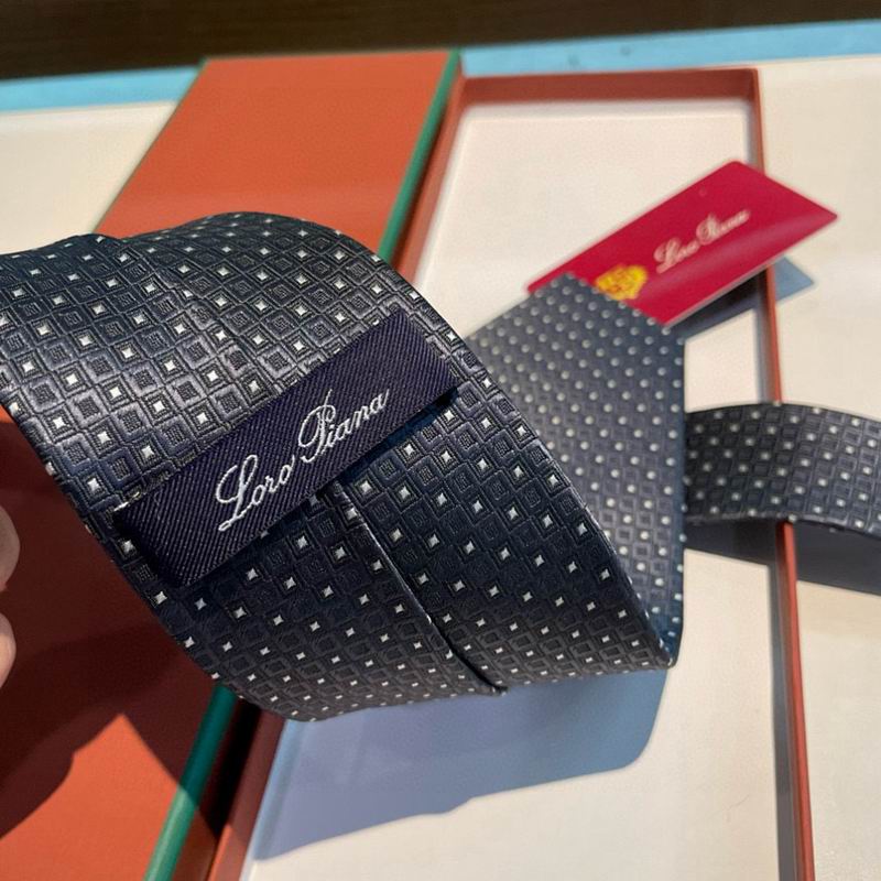 Loro Piana Tie hm (13)