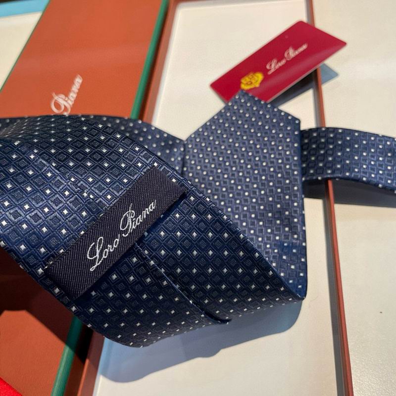 Loro Piana Tie hm (21)