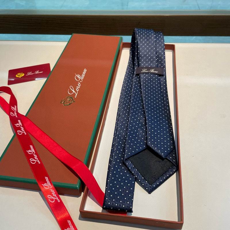 Loro Piana Tie hm (24)