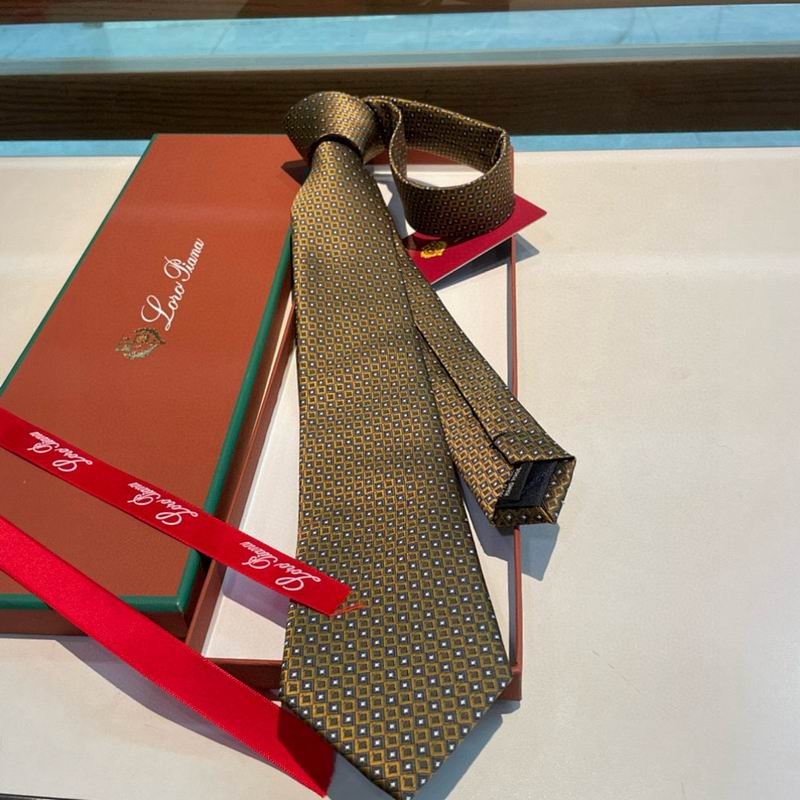 Loro Piana Tie hm (28)