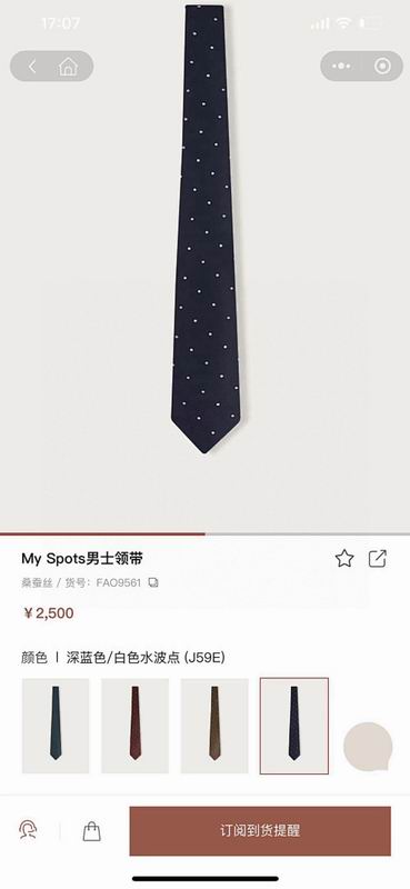 Loro Piana Tie hm (41)