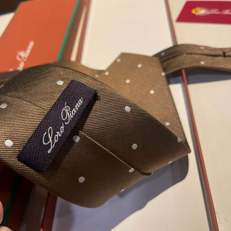 Loro Piana Tie hm (59)