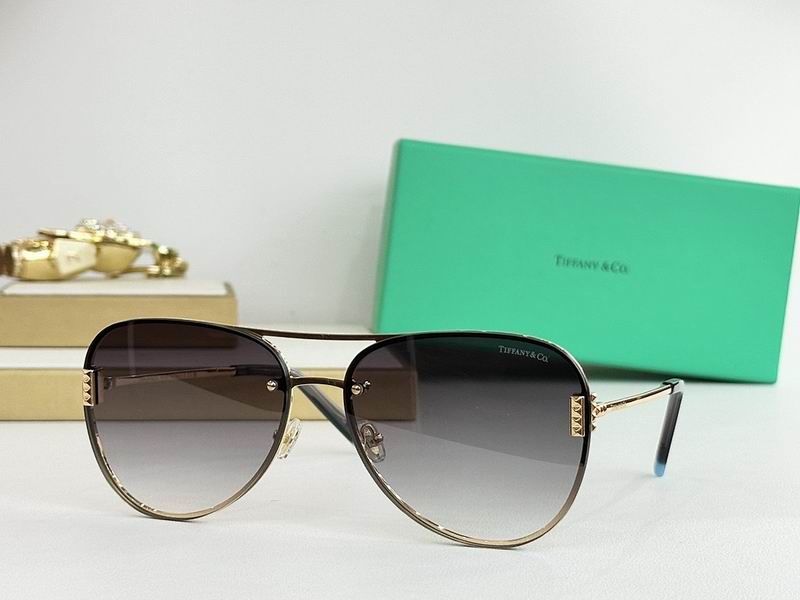 Tiffany&co Glasses sms (1004)
