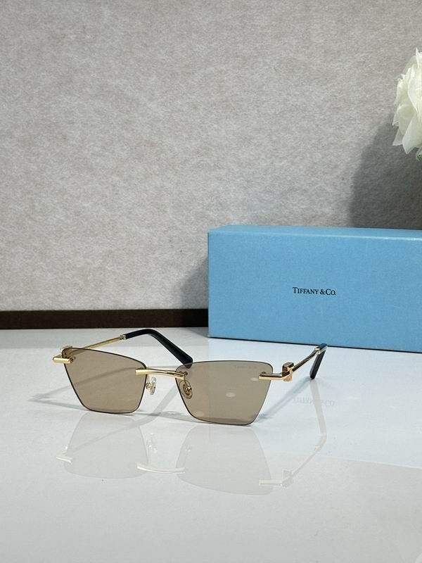 Tiffany&co Glasses sms (148)