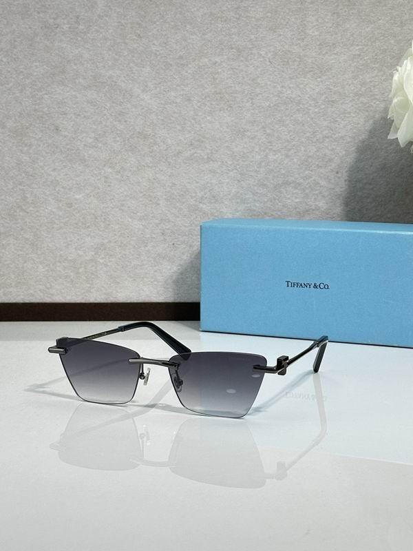 Tiffany&co Glasses sms (151)