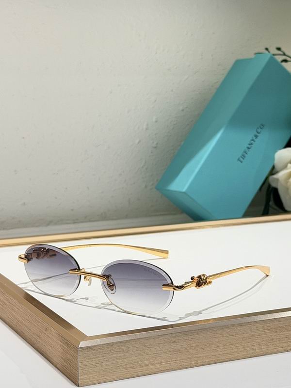 Tiffany&co Glasses sms (157)