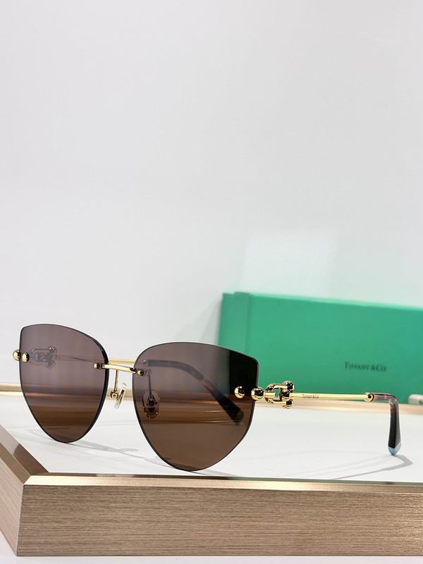 Tiffany&co Glasses sms (193)