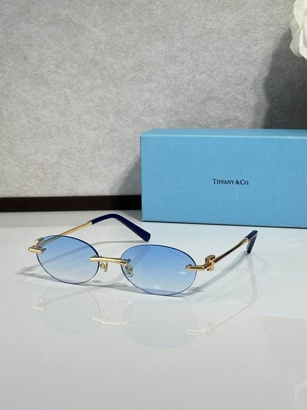Tiffany&co Glasses sms (253)
