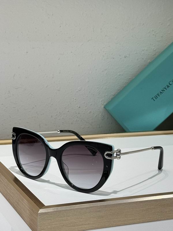 Tiffany&co Glasses sms (315)