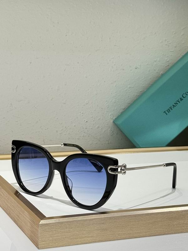 Tiffany&co Glasses sms (317)