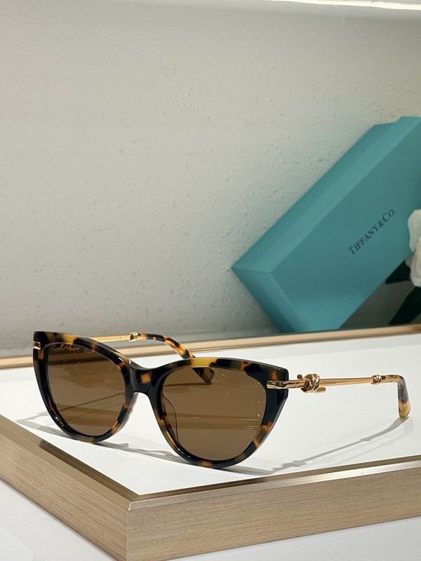 Tiffany&co Glasses sms (40)