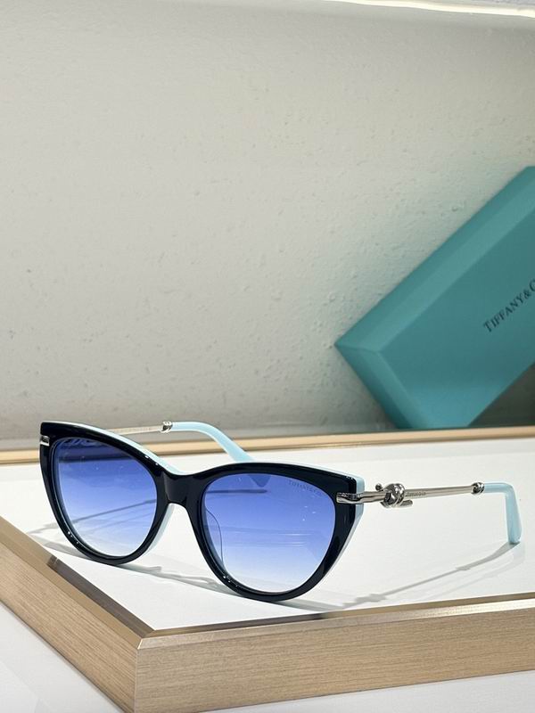 Tiffany&co Glasses sms (41)
