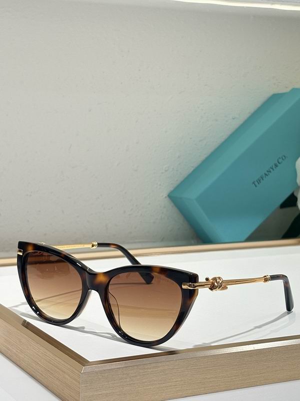 Tiffany&co Glasses sms (43)