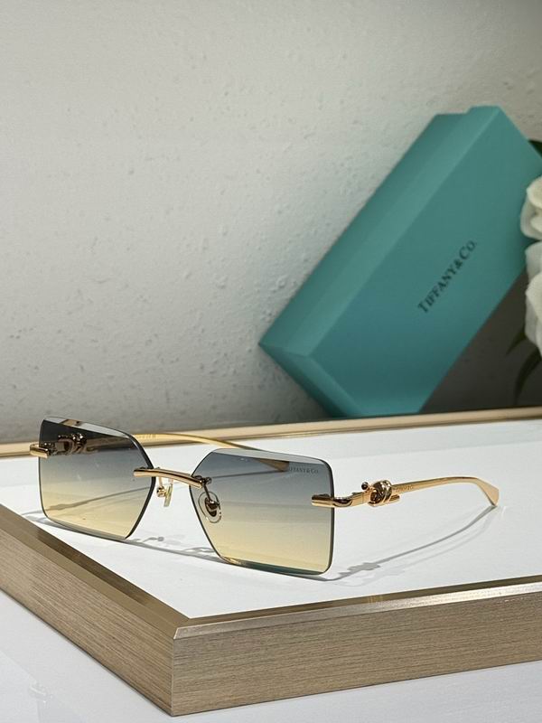 Tiffany&co Glasses sms (49)
