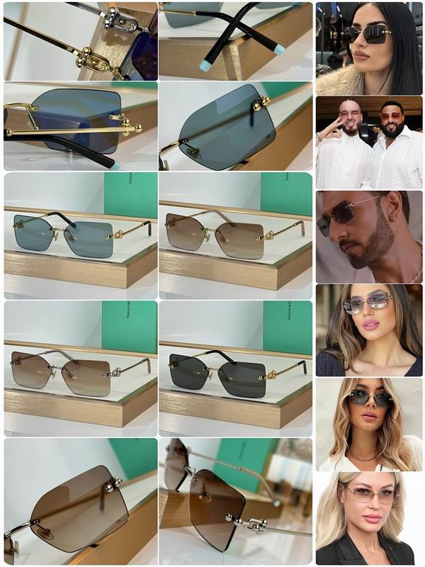 Tiffany&co Glasses sms (490)