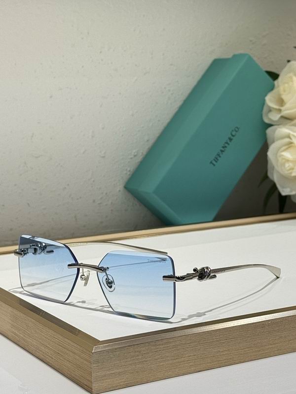 Tiffany&co Glasses sms (54)