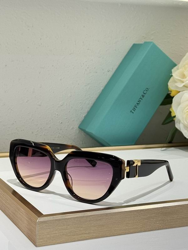 Tiffany&co Glasses sms (569)