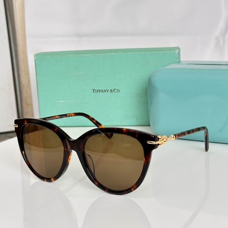 Tiffany&co Glasses sms (6)