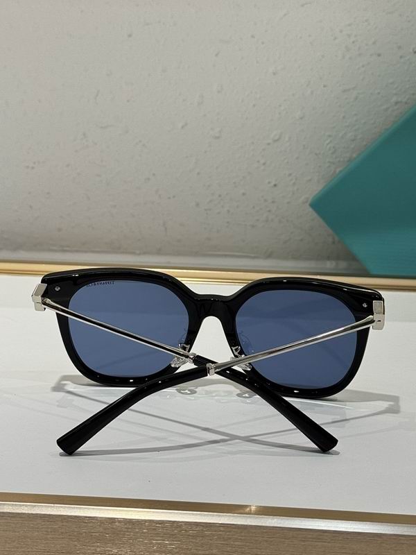 Tiffany&co Glasses sms (804)