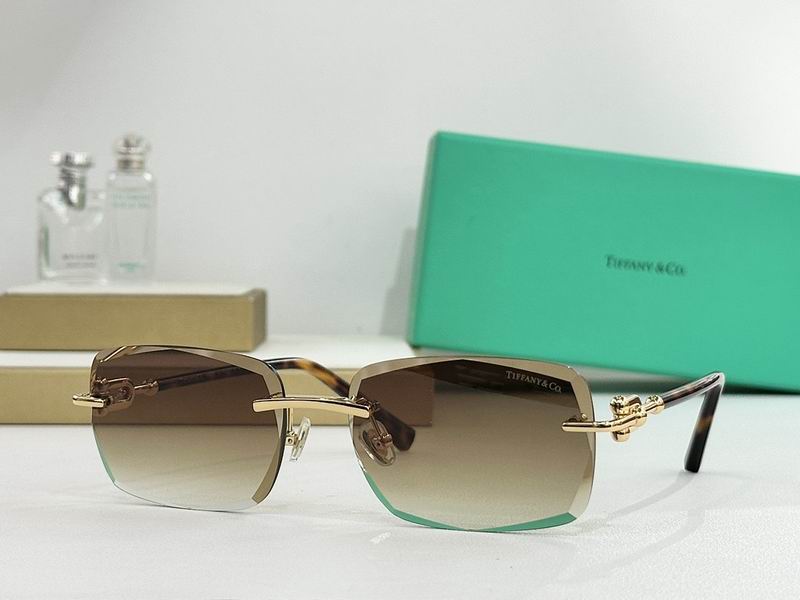 Tiffany&co Glasses sms (892)