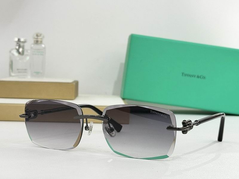Tiffany&co Glasses sms (893)