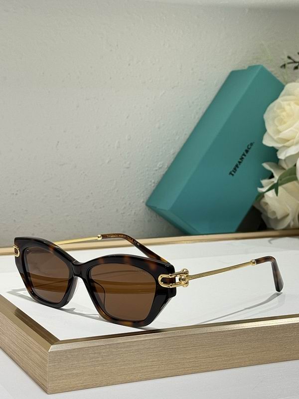 Tiffany&co Glasses sms (912)
