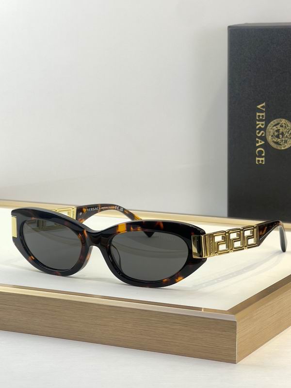 VERSACE  Glasses sms (1069)