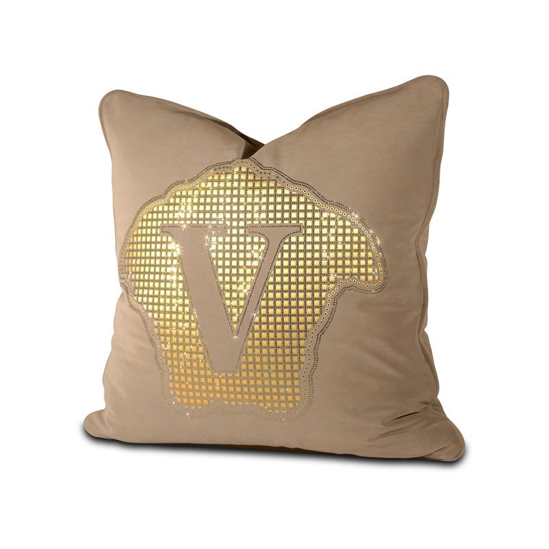 Versace Cushions 45X45cm (10)