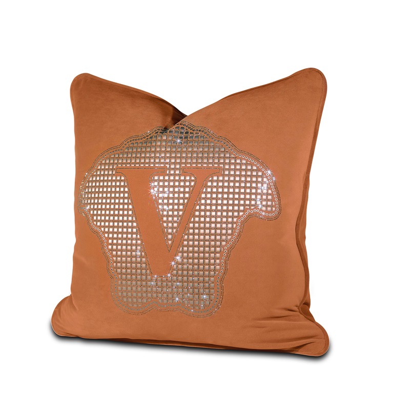 Versace Cushions 45X45cm  (3)