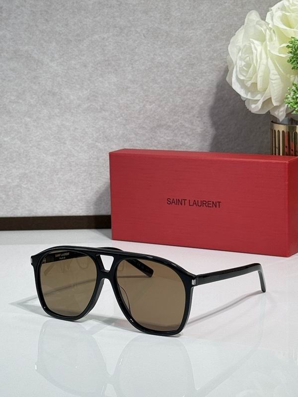 YSL Glasses sms (141)