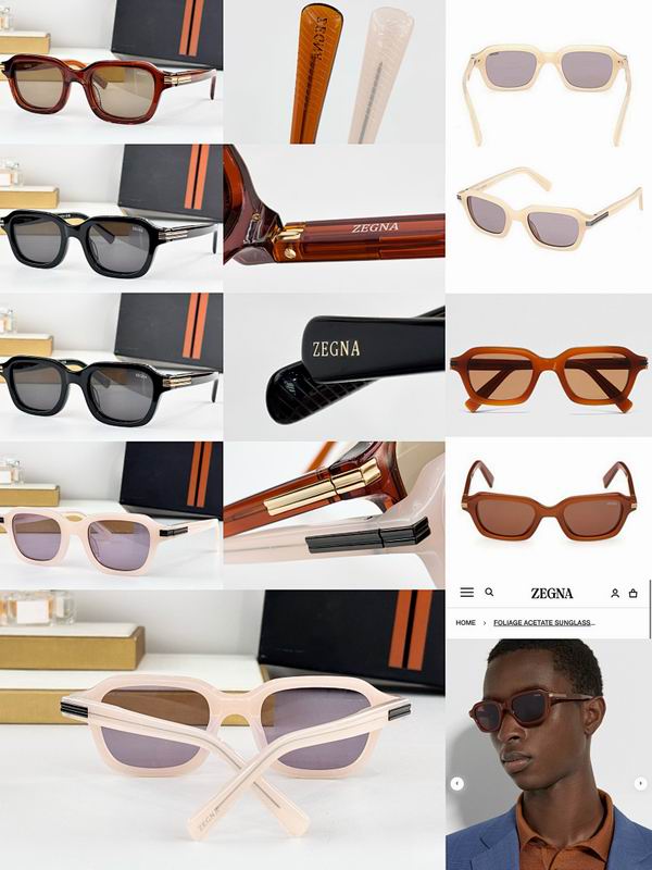 Zegna Glasses sms (1)