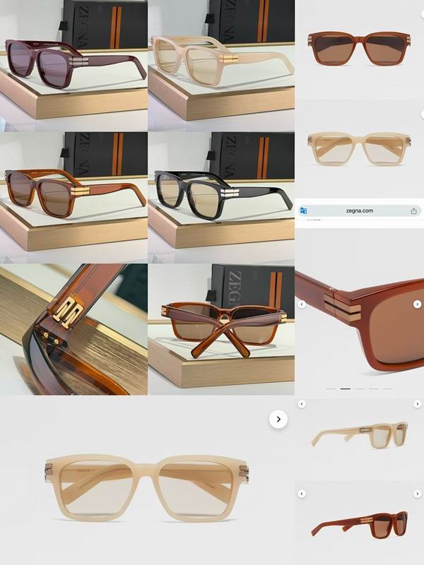 Zegna Glasses sms (100)