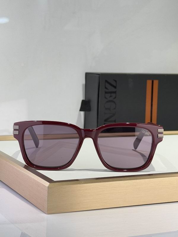 Zegna Glasses sms (101)