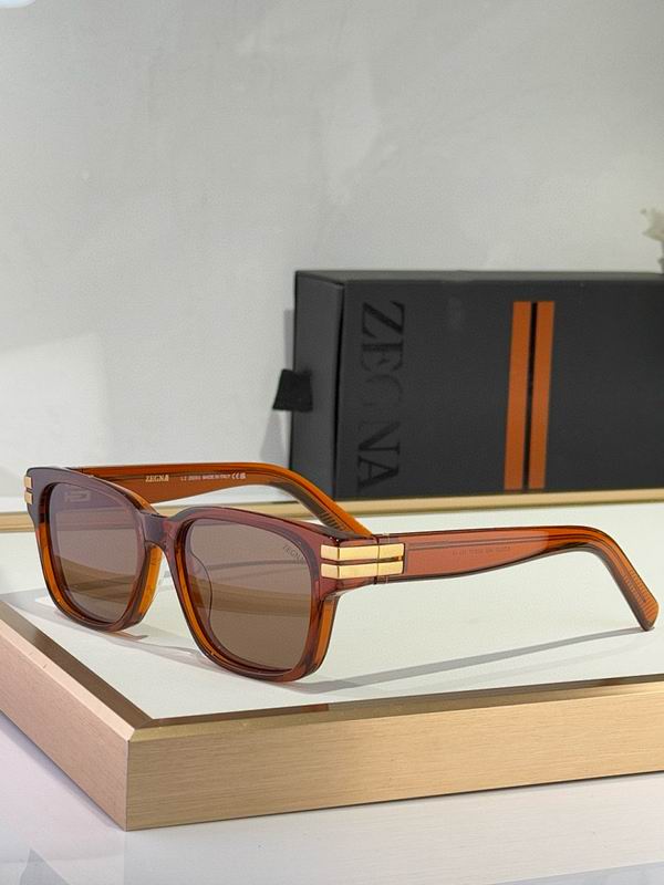 Zegna Glasses sms (106)