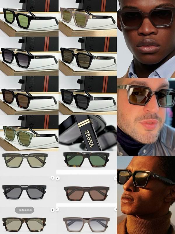 Zegna Glasses sms (110)