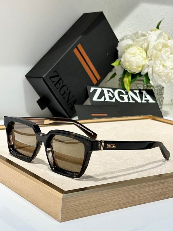 Zegna Glasses sms (140)