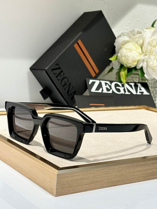 Zegna Glasses sms (149)