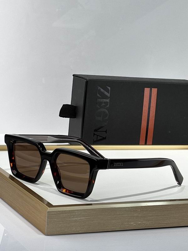 Zegna Glasses sms (157)