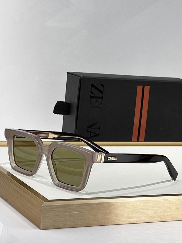 Zegna Glasses sms (159)