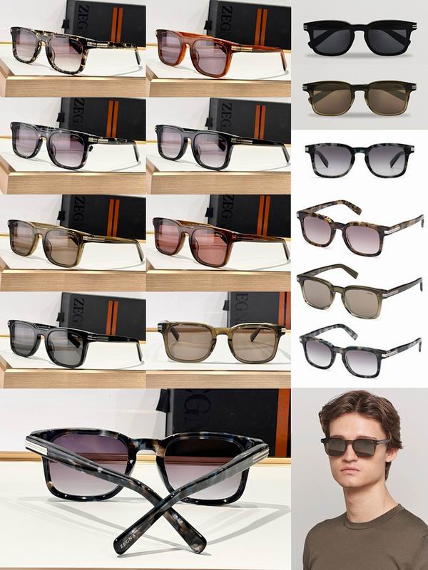 Zegna Glasses sms (61)