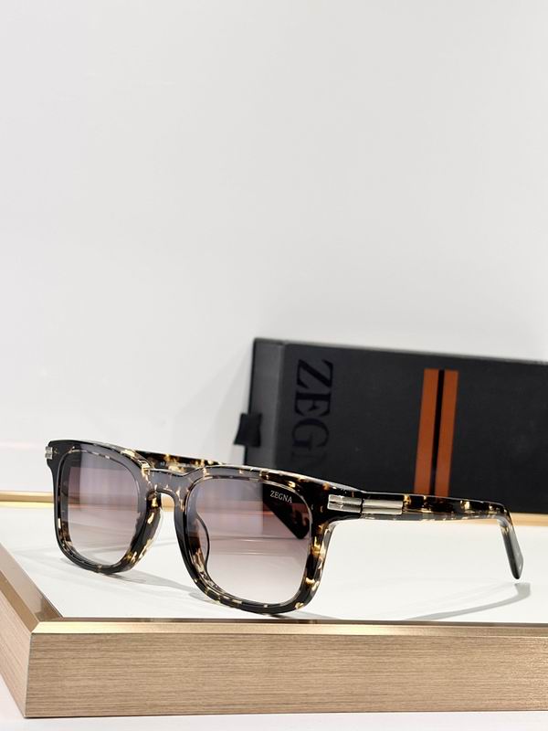 Zegna Glasses sms (62)