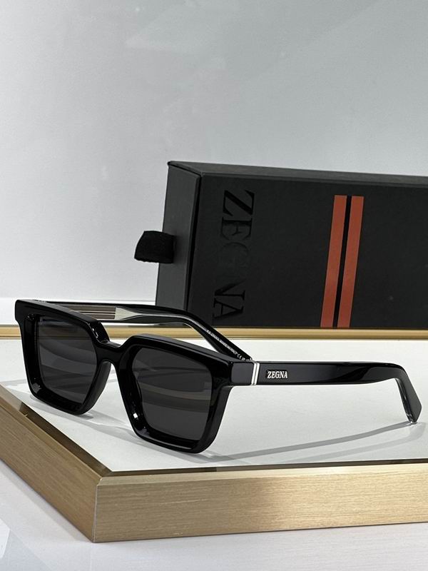 Zegna Glasses sms (86)