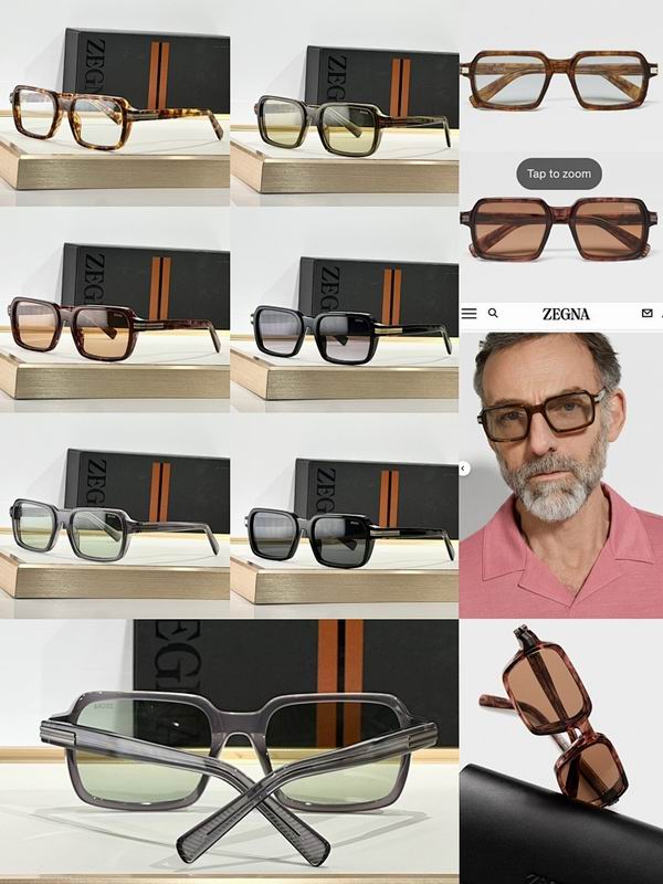 Zegna Glasses sms (90)